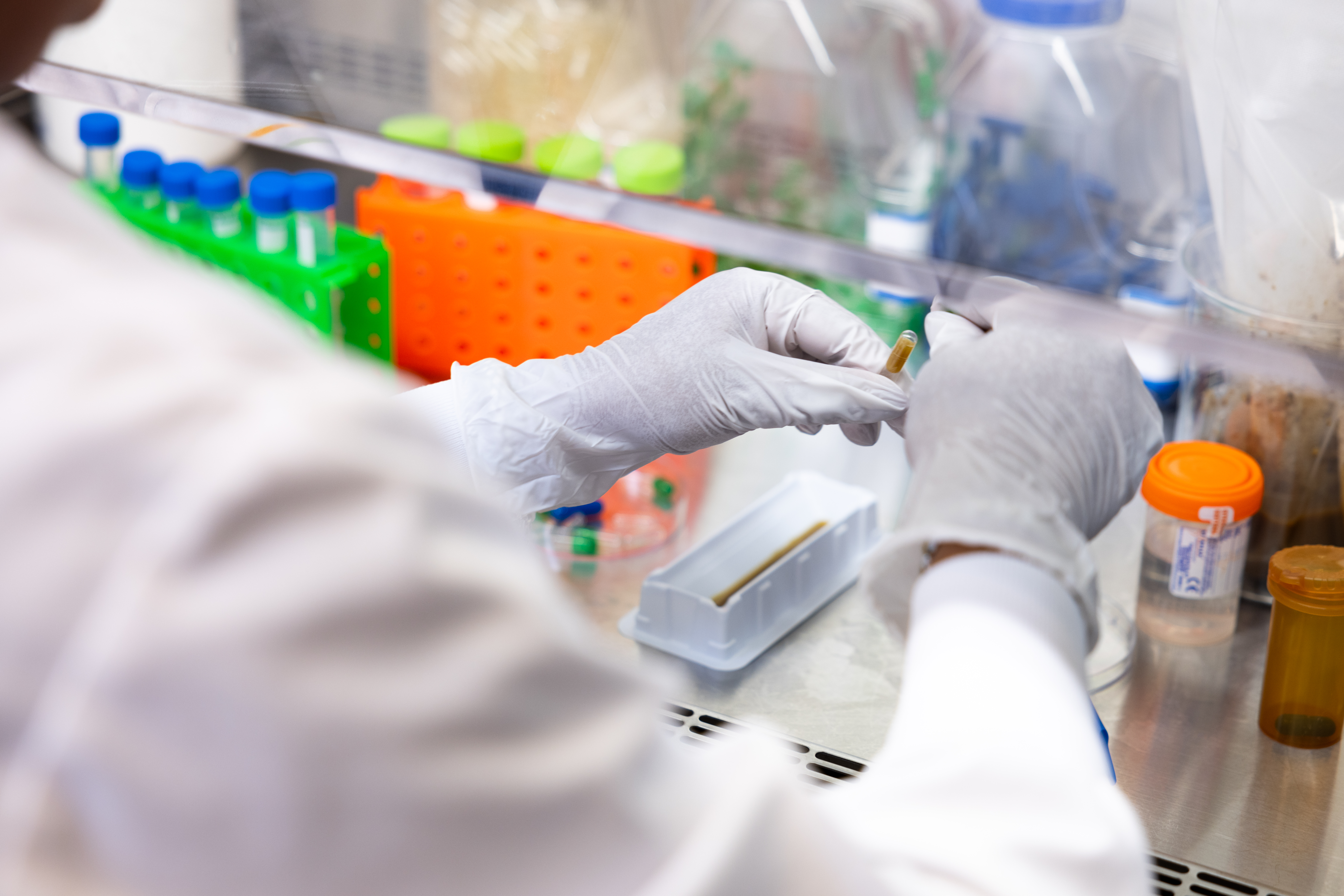 researcher holding vial
