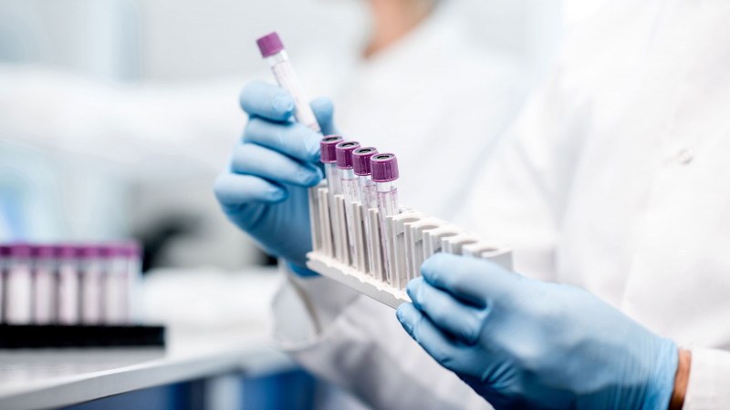 hands holding test tubes