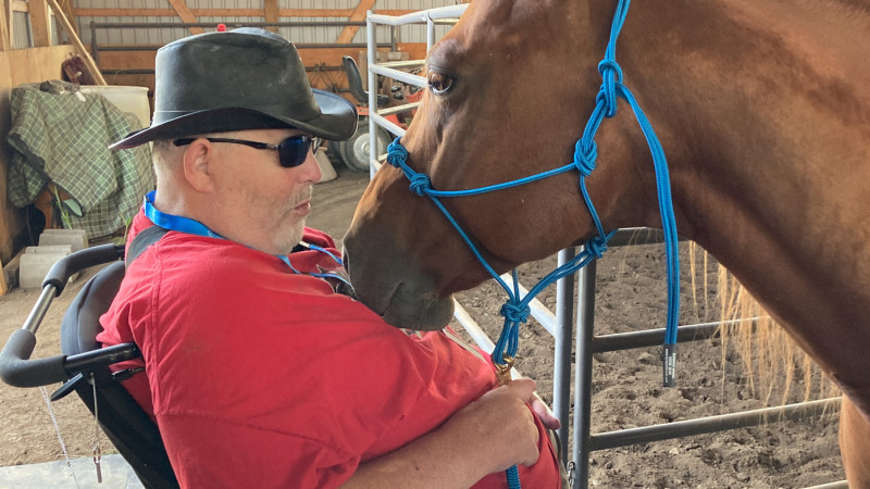 a person in a wheelchair pets a horse