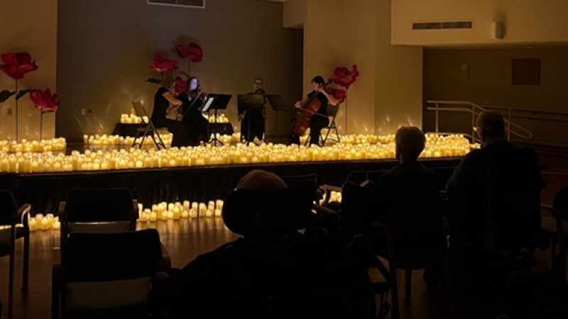 an audience watches a concert