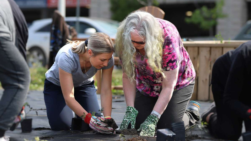 Judith and staff member planting