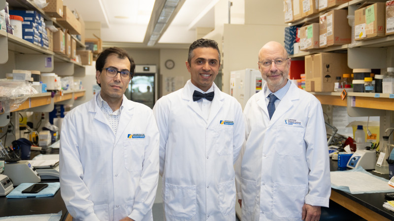 Dr. Jacques Raphael  and Sama Maleki, PhD of London Health Sciences Centre; and Dr. Michael Silverman of St. Joseph’s Health Care London lead a national clinical trial in how fecal microbiota transplant may improve how immunotherapy works in people with lung cancer.