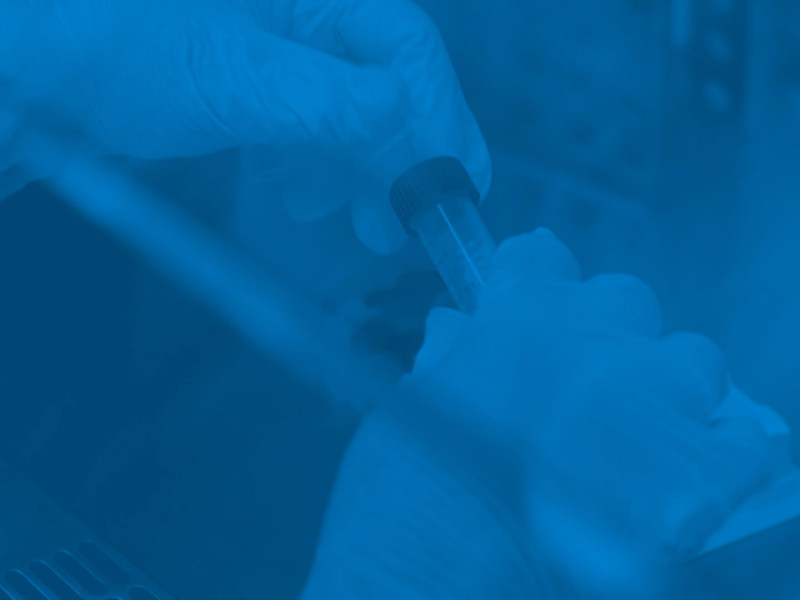 holding test tubes in research lab