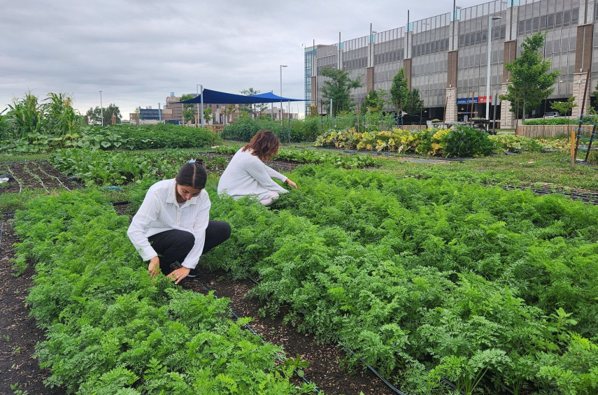 tending to plants at Parkwood