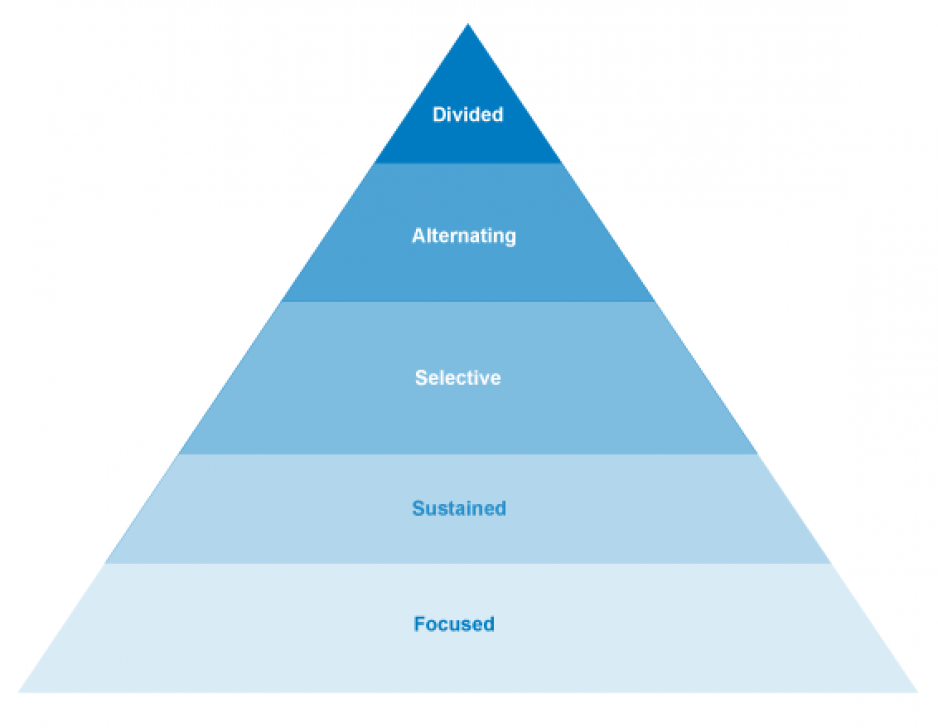 hierarchy of attention