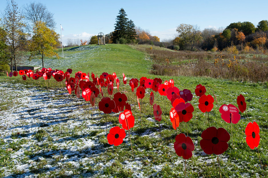 a field of hand-made, oversized bright red poppies placed on the grounds at Parkwood Institute near the cenotaph