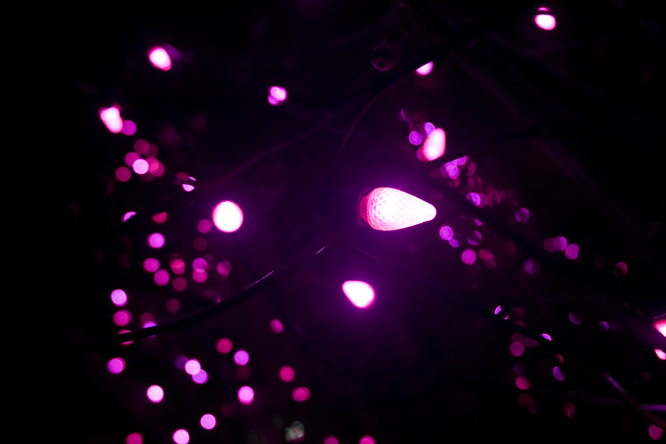 Season of celebration pink Christmas lights