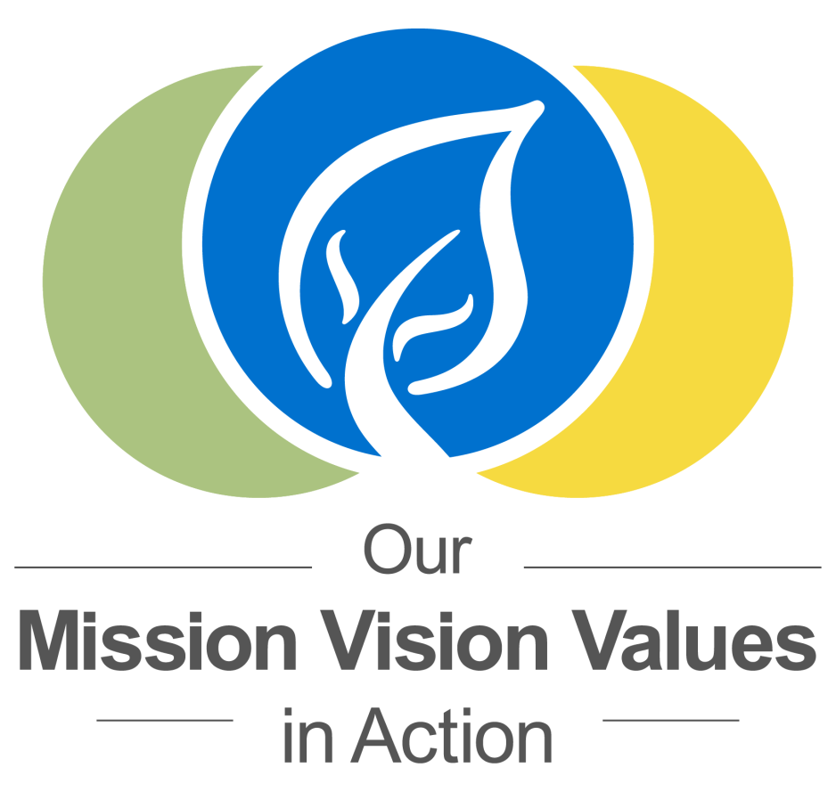 Mission Vision Values in Action