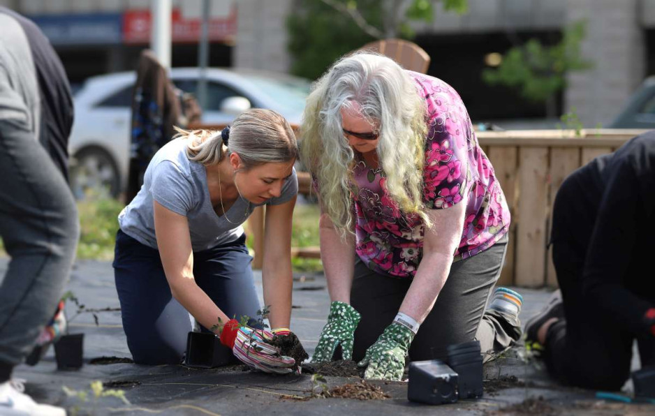 Judith and staff member planting