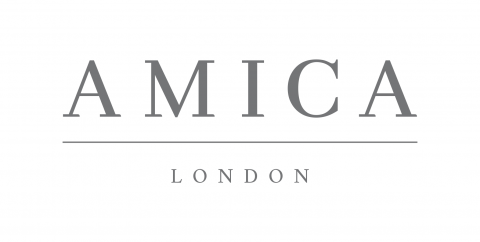 logo for AMICA