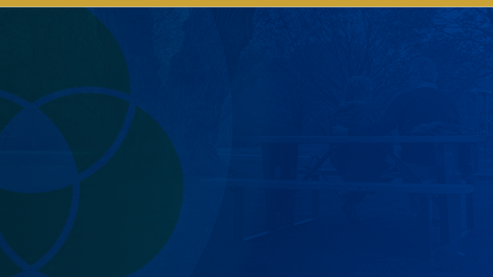 colour overlay on photo collage