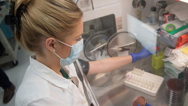 Scientist in Lawson lab