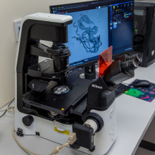 birefringence microscopy