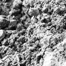 Microscopy image of stent