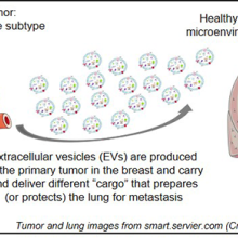Visual representation of research findings