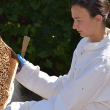 Researcher holding part of the hive from the honey bees