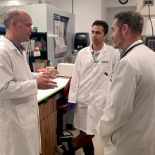 Drs. Burton, Maleki and Lenehan