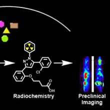Graphic depiction of research project