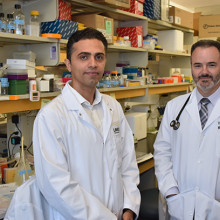 Drs. Maleki and Lenehan