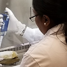 Fecal matter being processed in lab